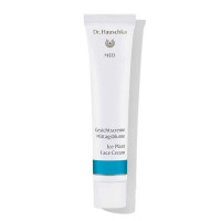 Dr. Hauschka MED Gesichtscreme Mittagsblume: pflegt und stärkt sehr trockener Haut, auch bei Neurodermitis Neurodermitis Hautpflege: Dr. Hauschka MED Gesichtscreme Mittagsblume
