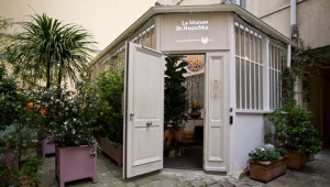 Dr. Hauschka Naturkosmetikerinnen Adressen Dr. Hauschka Naturkosmetikerinnen Adressen