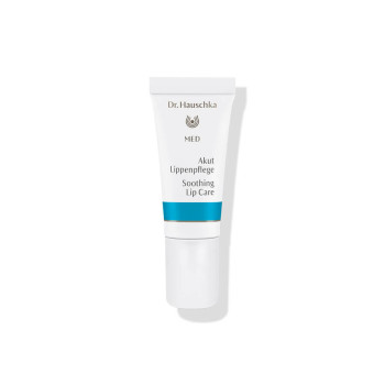 Dr. Hauschka MED Lippencreme bei Lippenbläschen: Akut Lippenpflege Lippencreme bei Lippenbläschen: Akut Lippenpflege Dr. Hauschka MED