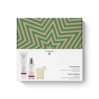 Erfrischende Pflege: Duschcreme, Zitronen Lemongrass Körpermilch und Zitronen Seife im Dr. Hauschka Geschenkset „Sinnesfreuden“ Geschenkset „Sinnesfreuden“ – 100 % Naturkosmetik